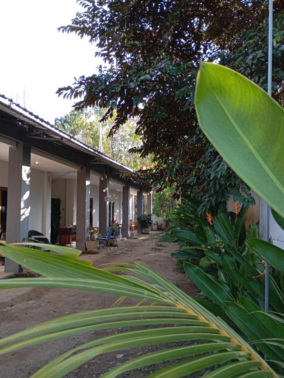 Wl Guesthouse Labuan Bajo Exteriör bild