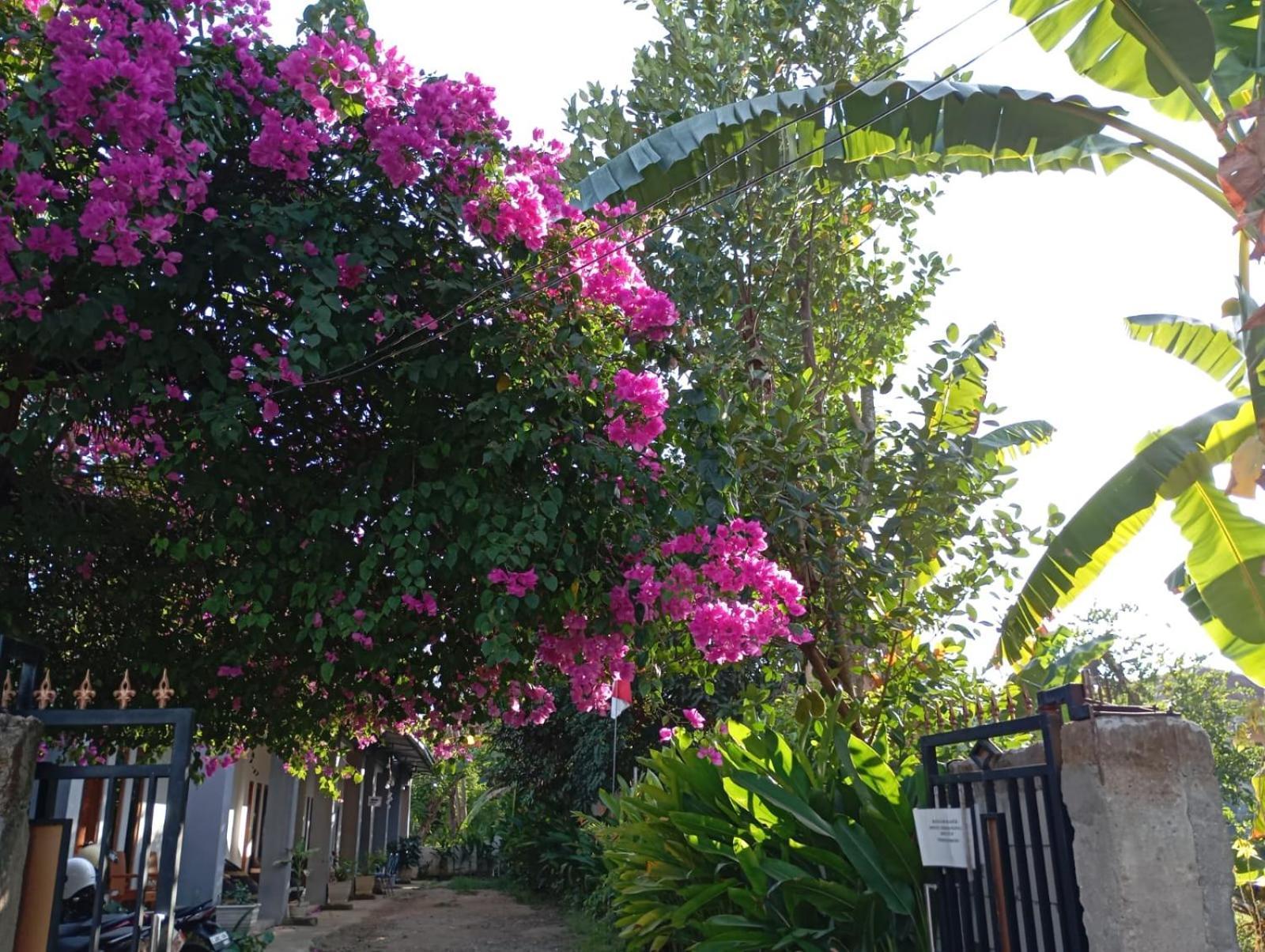Wl Guesthouse Labuan Bajo Exteriör bild