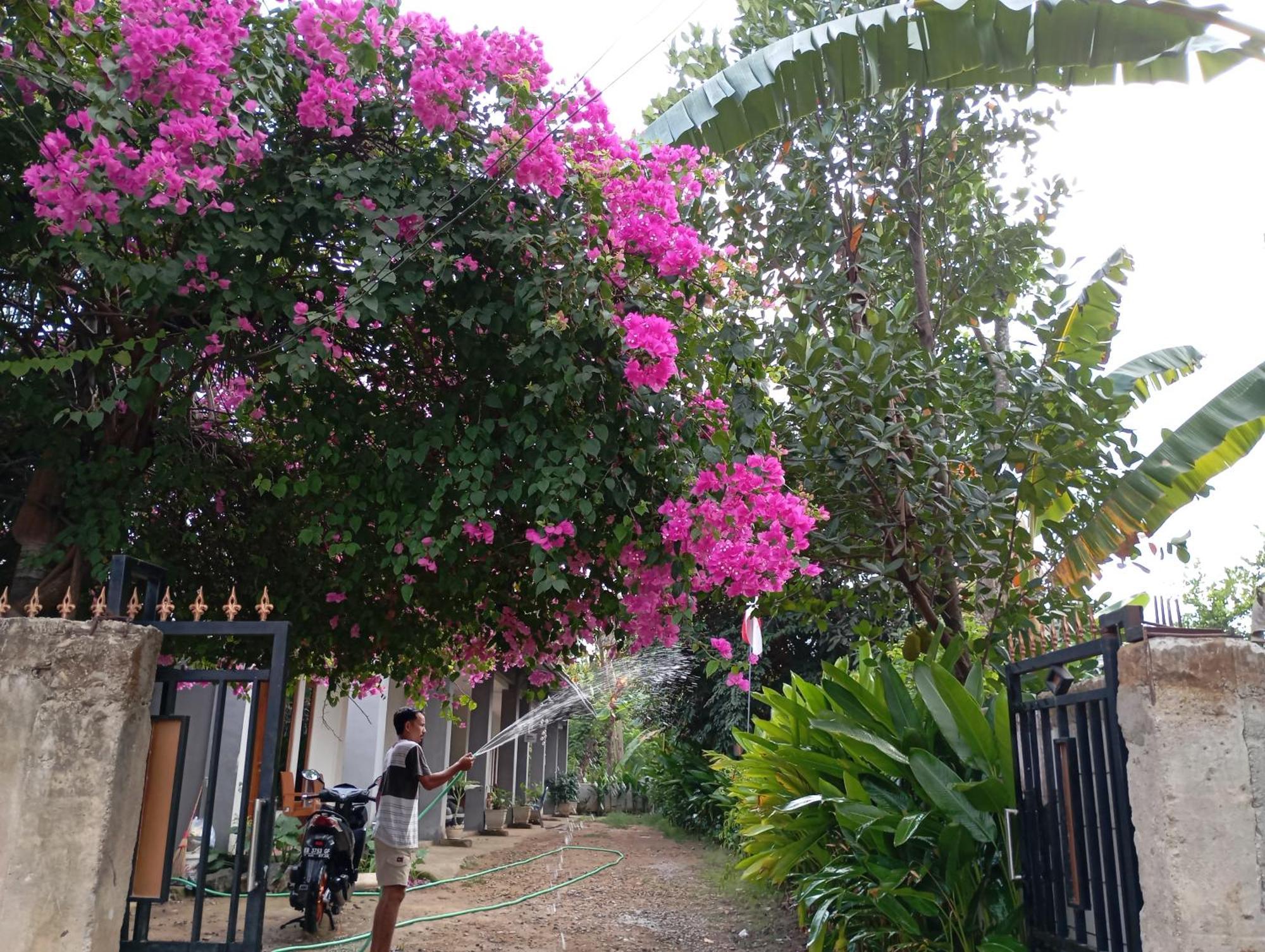 Wl Guesthouse Labuan Bajo Exteriör bild