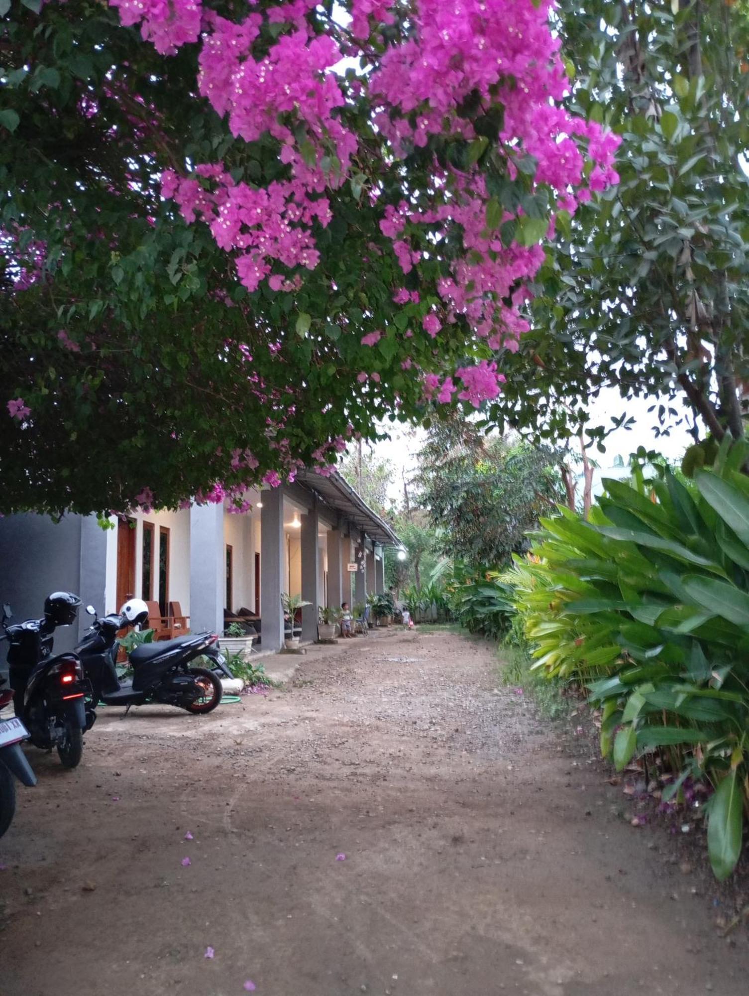 Wl Guesthouse Labuan Bajo Exteriör bild