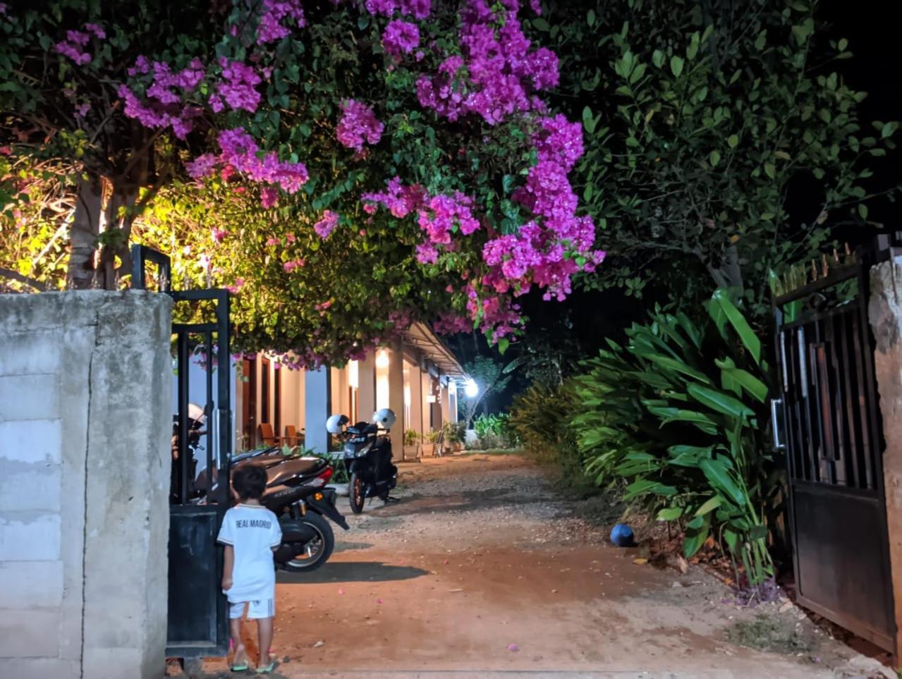 Wl Guesthouse Labuan Bajo Exteriör bild