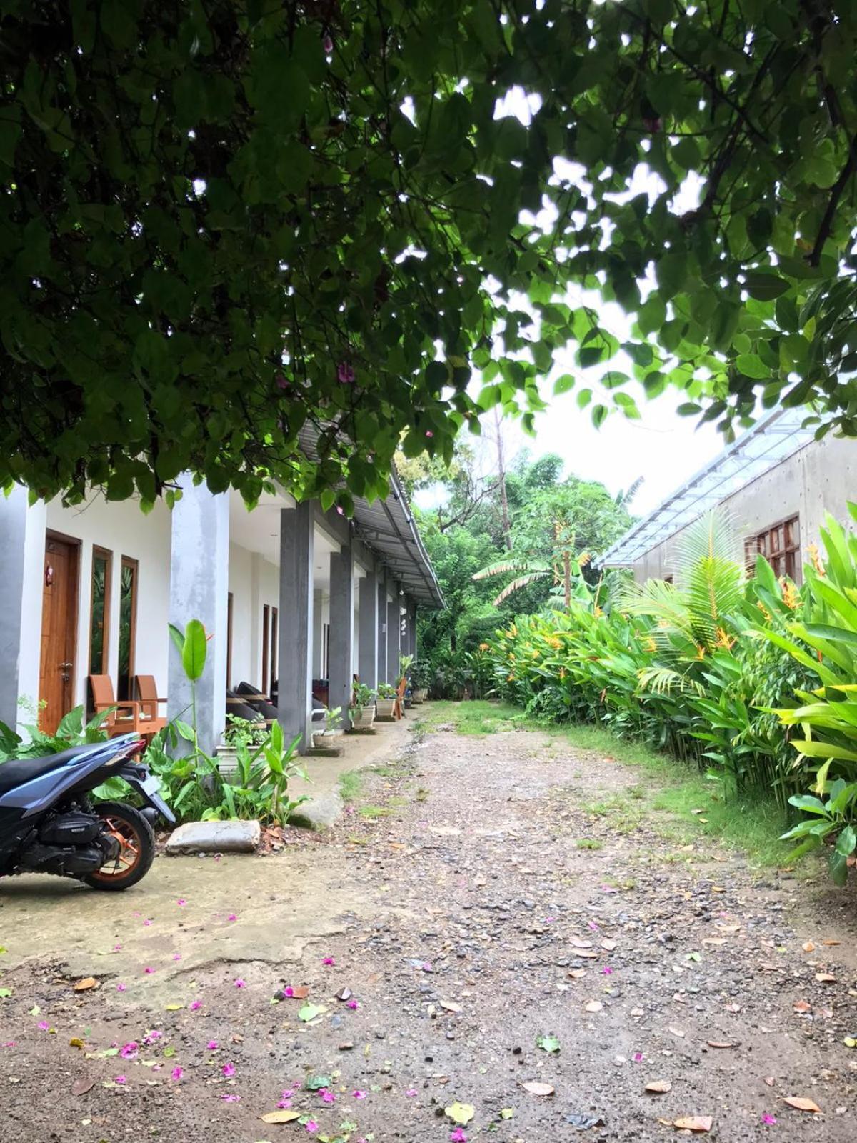 Wl Guesthouse Labuan Bajo Exteriör bild