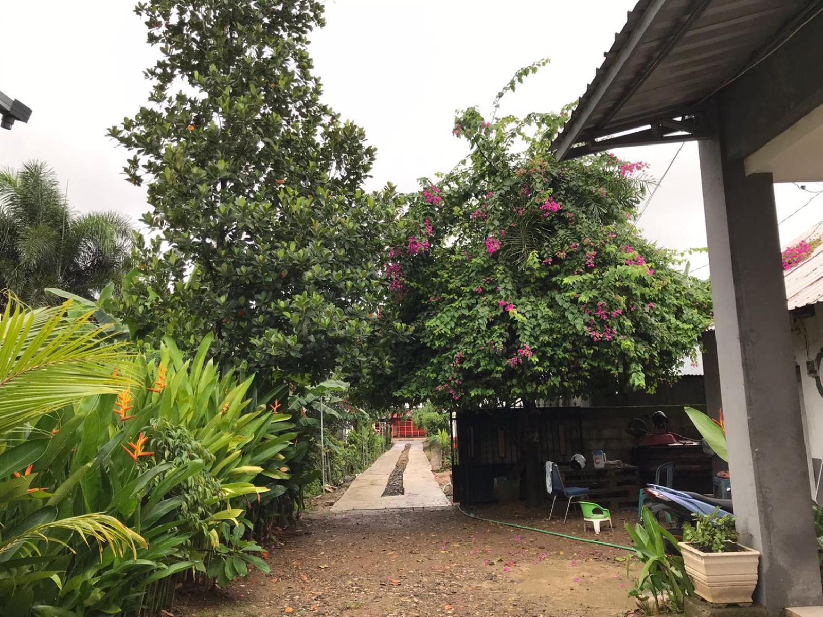 Wl Guesthouse Labuan Bajo Exteriör bild