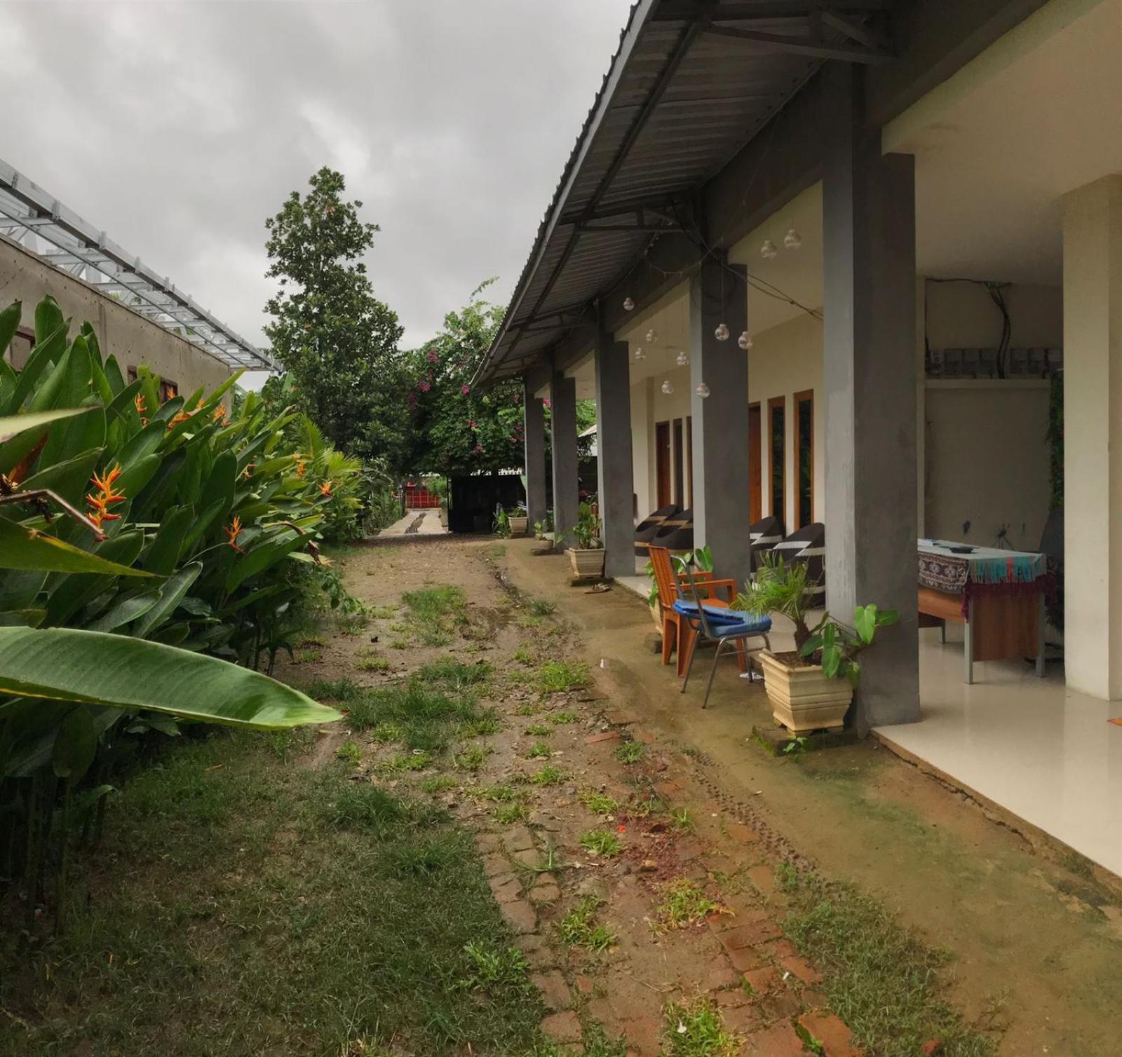 Wl Guesthouse Labuan Bajo Rum bild